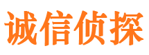 巨野侦探